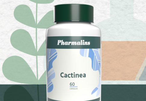 cactinea